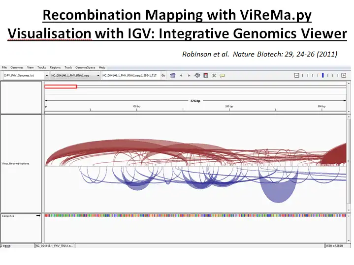 Download web tool or web app ViReMa to run in Windows online over Linux online