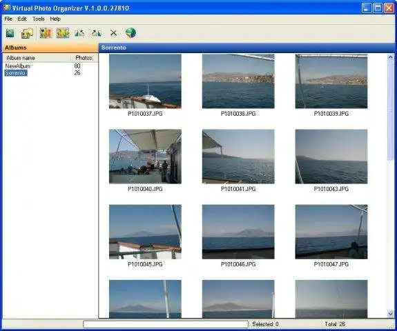 ابزار وب یا برنامه وب Virtual Photo Organizer را دانلود کنید