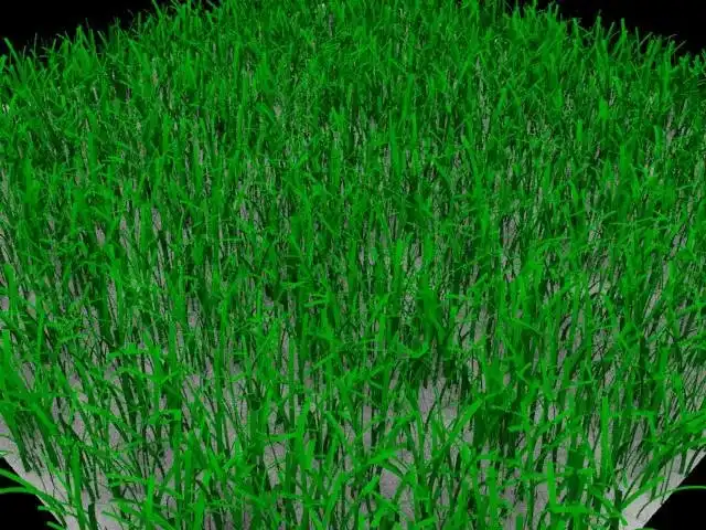 قم بتنزيل أداة الويب أو تطبيق الويب Virtual Vegetation Generator