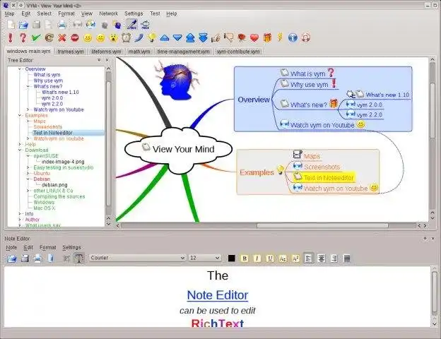 הורד את כלי האינטרנט או אפליקציית האינטרנט vym - צפה במחשבותיך