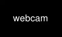 Run webcam in OnWorks free hosting provider over Ubuntu Online, Fedora Online, Windows online emulator or MAC OS online emulator