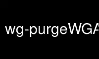 Rulați wg-purgeWGAccess în furnizorul de găzduire gratuit OnWorks prin Ubuntu Online, Fedora Online, emulator online Windows sau emulator online MAC OS