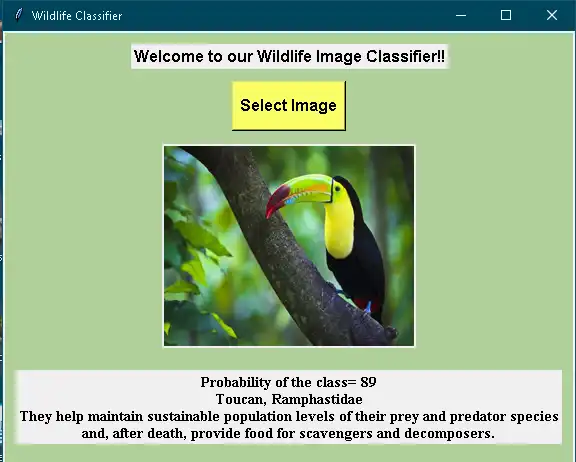 Download web tool or web app Wildlife Classifier