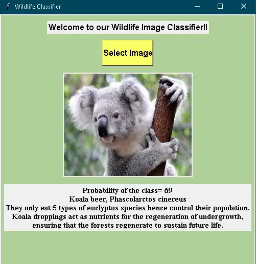 Download web tool or web app Wildlife Classifier
