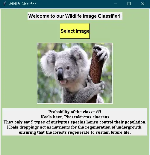 ابزار وب یا برنامه وب Wildlife Classifier را دانلود کنید