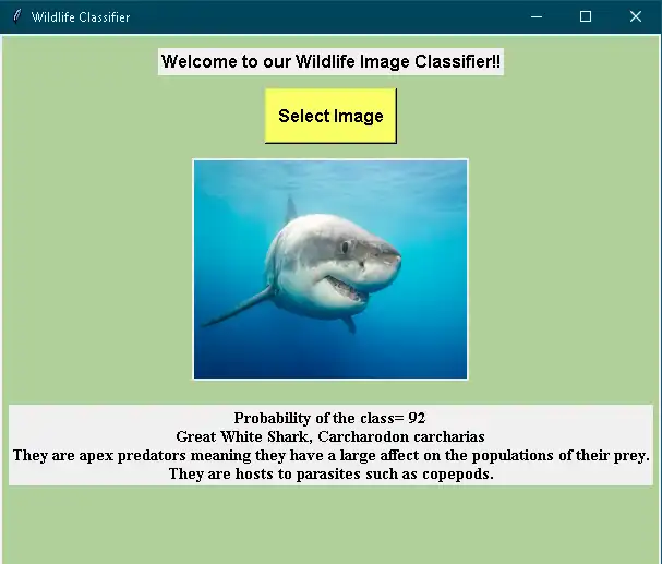 Download web tool or web app Wildlife Classifier