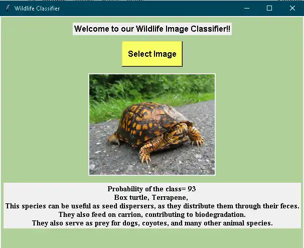 ابزار وب یا برنامه وب Wildlife Classifier را دانلود کنید