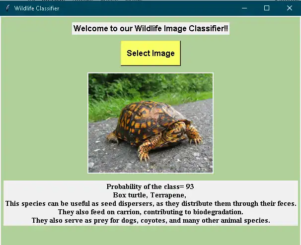 Download web tool or web app Wildlife Classifier