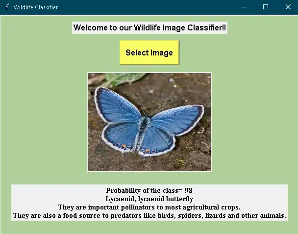 Download web tool or web app Wildlife Classifier