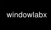 Run windowlabx in OnWorks free hosting provider over Ubuntu Online, Fedora Online, Windows online emulator or MAC OS online emulator