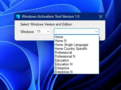 웹 도구 또는 웹 앱 Windows 11 Activator 다운로드