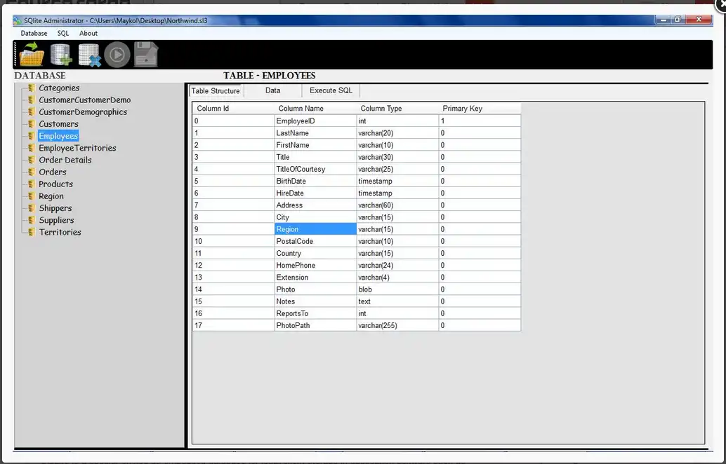 Download web tool or web app Windows SQlite