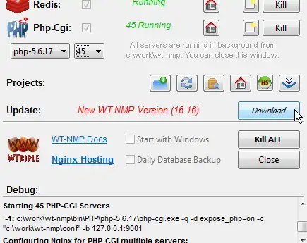 Muat turun alat web atau aplikasi web WinNMP - tindanan Windows Nginx MySql Php 8