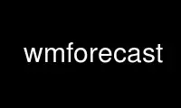 উবুন্টু অনলাইন, ফেডোরা অনলাইন, উইন্ডোজ অনলাইন এমুলেটর বা MAC OS অনলাইন এমুলেটরের মাধ্যমে OnWorks বিনামূল্যে হোস্টিং প্রদানকারীতে wmforecast চালান