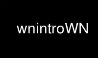 Run wnintroWN in OnWorks free hosting provider over Ubuntu Online, Fedora Online, Windows online emulator or MAC OS online emulator