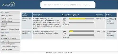 Download web tool or web app wsProject