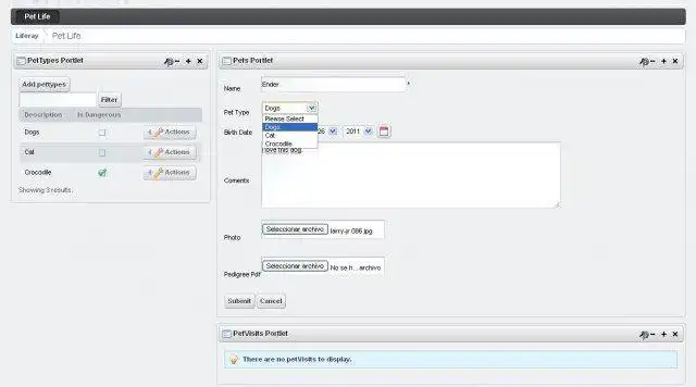 Download web tool or web app XMLPortletFactory