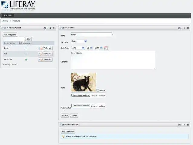 Download web tool or web app XMLPortletFactory