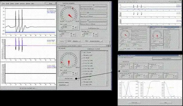 Download web tool or web app XNBC: neurobiology simulation tool