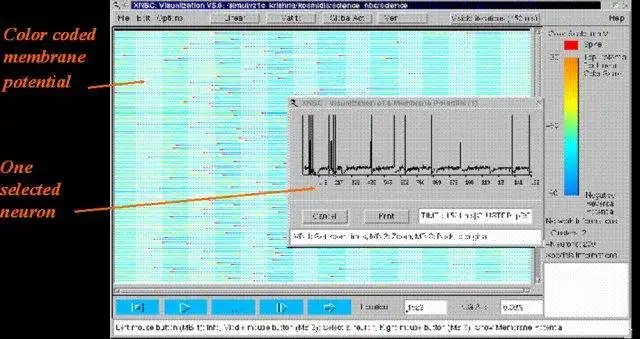 Download webtool of webapp XNBC: neurobiologische simulatietool om online onder Linux te draaien