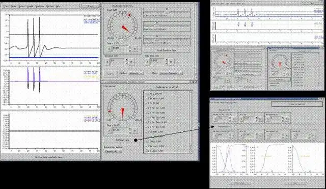 Téléchargez l'outil Web ou l'application Web XNBC : outil de simulation de neurobiologie à exécuter sous Linux en ligne