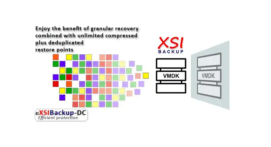 Download web tool or web app XSIBackup-DC