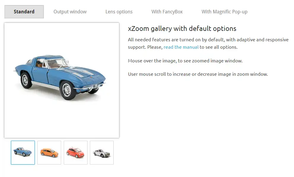 Download web tool or web app xZoom
