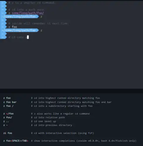 Download web tool or web app zoxide