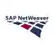 SAP NetWeaver Server Adapter para sa Eclipse