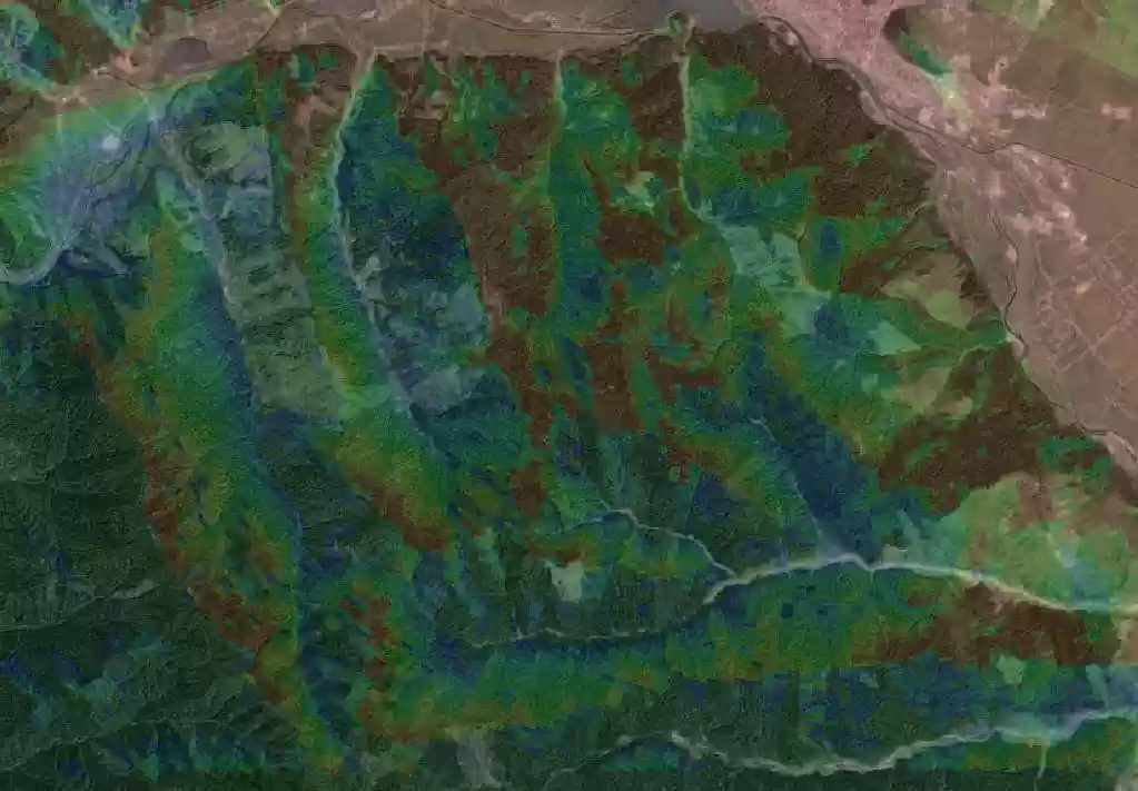 Download web tool or web app QRadioPredict